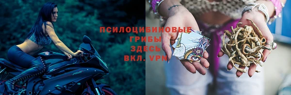 герыч Абинск