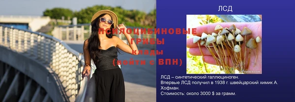 каннабис Алзамай