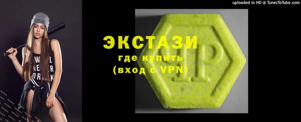 крисы Козельск