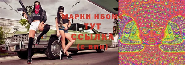 хмурый Краснослободск