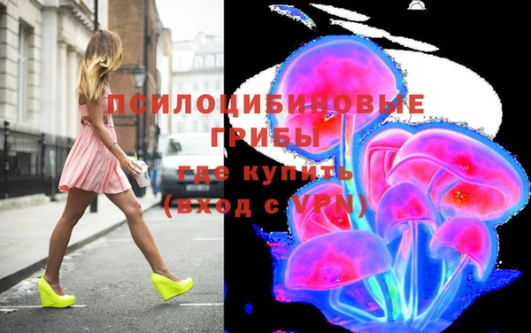 спайс Алексин