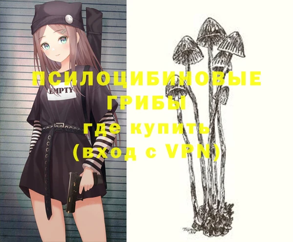 спайс Алексин