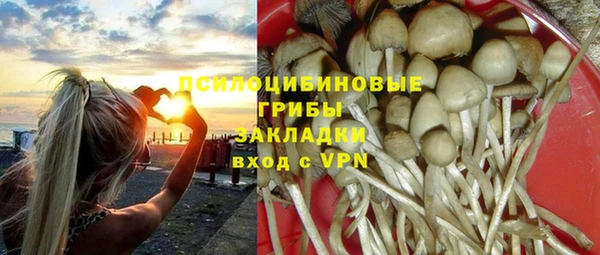 спайс Алексин